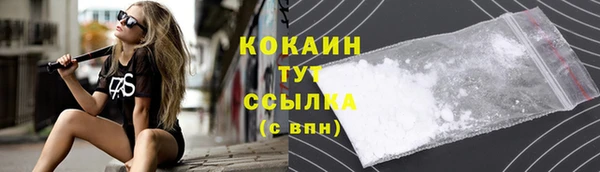 apvp Арсеньев