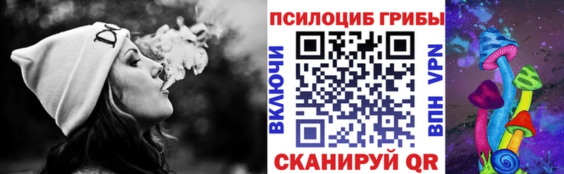 Галлюциногенные грибы Psilocybe  нарко площадка официальный сайт  Ахтырский 